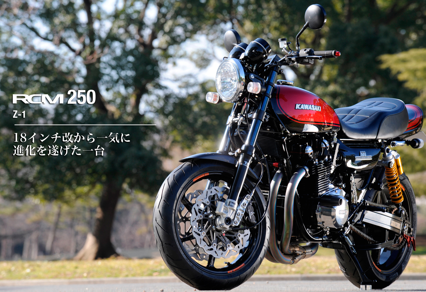 ちーさん ちーさん ちーちゃん🌱ZX-4RR (@bakusoumotochiz) / Posts / X